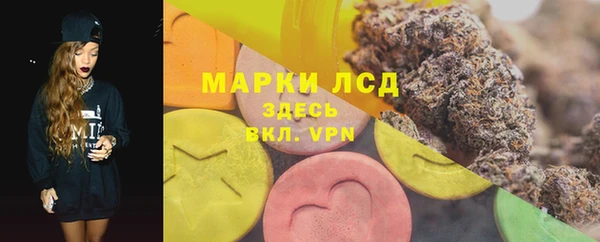 PSILOCYBIN Бородино